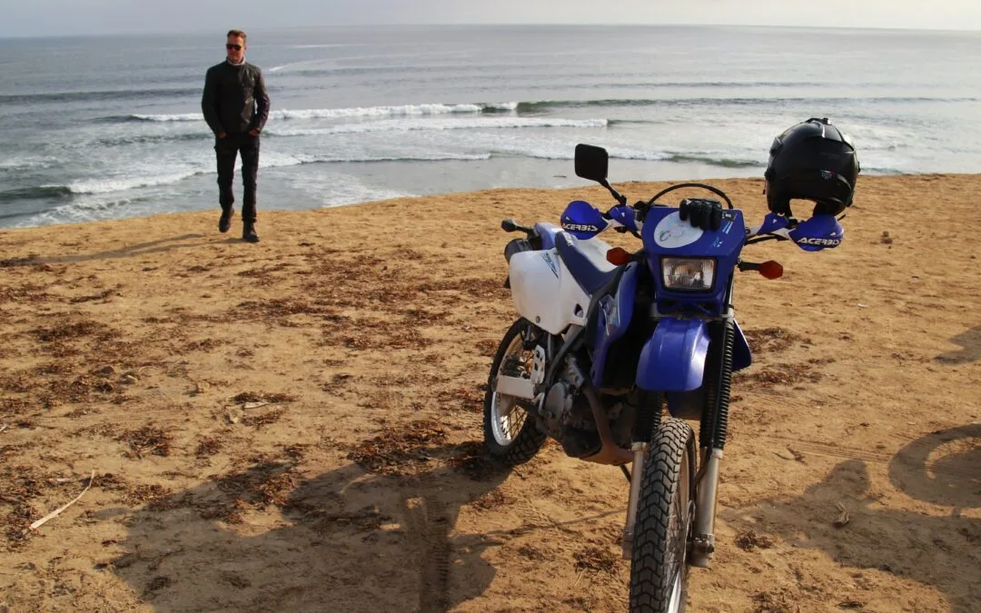 Fra Stillehavets brusen til junglens favntag