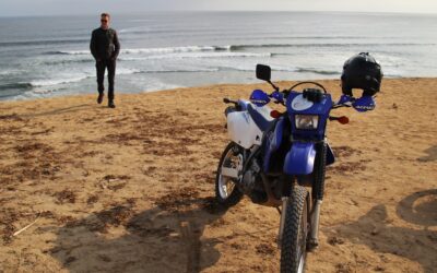 Fra Stillehavets brusen til junglens favntag